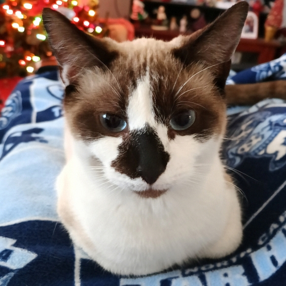 💕❤️JEWELRY Buy 2, Get 1 FREE❤️💕 - Picture 3 of 16